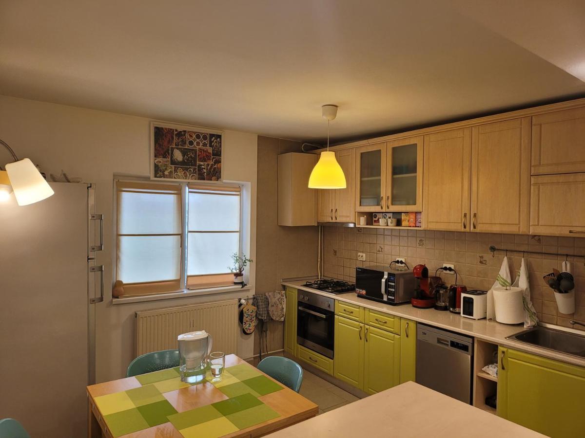 Family Friendly With Kids Room, Quiet And Peaceful Bucharest Luaran gambar